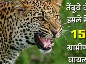 Attack of dreaded leopard in 3 villages of Hata, 15 villagers injured, panic in the area