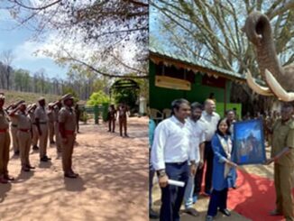 Forest officials gave God of honor to 60-year-old elephant on retirement