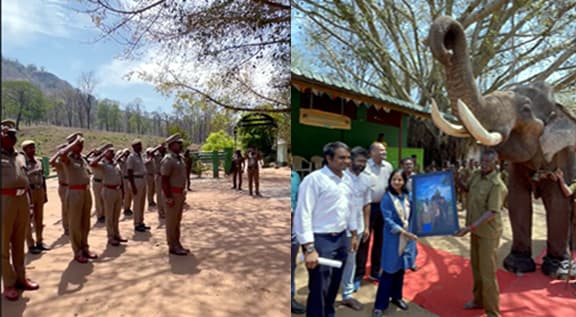 Forest officials gave God of honor to 60-year-old elephant on retirement