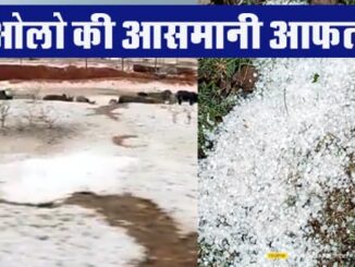 Hail wreaks havoc in many districts of Bundelkhand, snow cover in Lalitpur