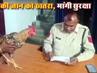 Woman's chicken in danger, security sought from police station