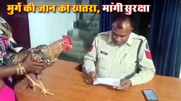 Woman's chicken in danger, security sought from police station