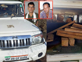 Illegal teak transport was being done in Boleros, caught in patrolling of forest staff