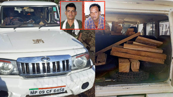 Illegal teak transport was being done in Boleros, caught in patrolling of forest staff