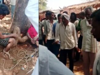 Blinded by suspicion, the mob tied the brother and sister to a tree and flogged them