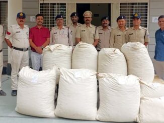 Narsinghpur police caught 90 lakh ganja in Fortuner vehicle, accused absconding