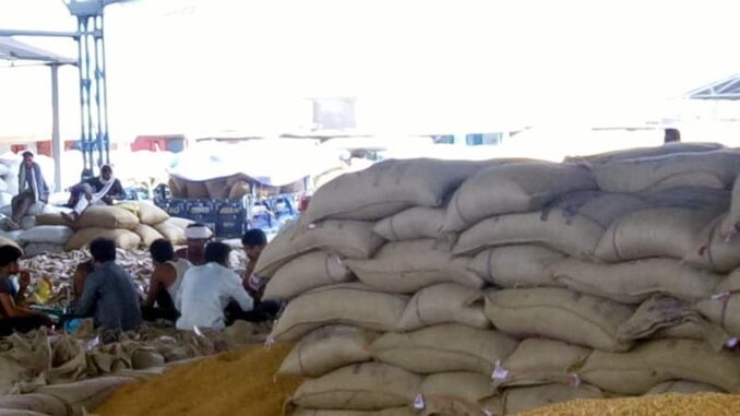 Center and warehouse in-charge sold 1842 quintals of gram for purchase of support price