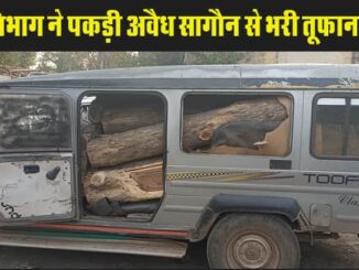 The Forest Department caught a Toofan vehicle loaded with illegal teak going for smuggling.