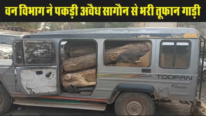 The Forest Department caught a Toofan vehicle loaded with illegal teak going for smuggling.