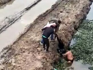 Girl jumped into pond from elevated corridor in Sagar, people saved her life