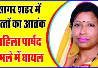 After Bhopal, dog bite cases increased in Sagar, female councilor became victim.