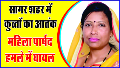 After Bhopal, dog bite cases increased in Sagar, female councilor became victim.