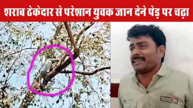 When the contractor increased the price of liquor, the liquor lover climbed a tree to commit suicide, the police brought him down.