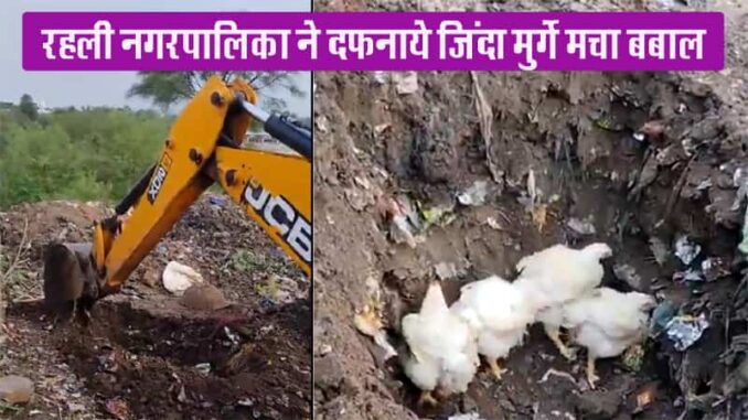 When Rahli Nagarpalika buried live chickens, there was uproar, people raised questions