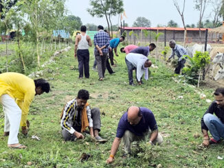 Maha Shramdaan Abhiyan organized in Kaushal Kishore Ward Muktidham, citizens who reached for beautification campaign did hard work