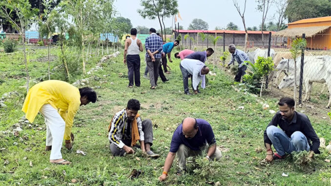 Maha Shramdaan Abhiyan organized in Kaushal Kishore Ward Muktidham, citizens who reached for beautification campaign did hard work